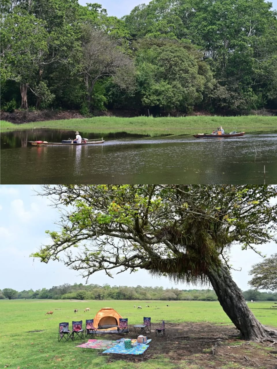 Pesona Desa Wisata Pinang Banjar Muara Enim, dari Lahan Gagal Panen Jadi Danau Buatan dan Area Camping