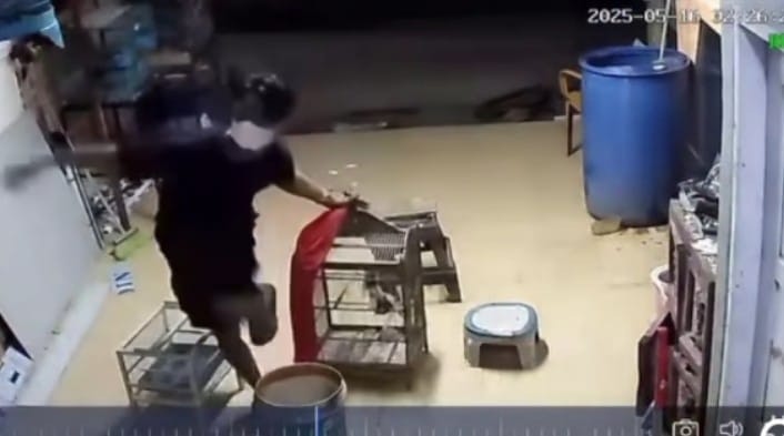 CCTV Rekam Aksi Pencurian Burung di Palembang, Korban Pilih Viral Ketimbang Lapor Polisi