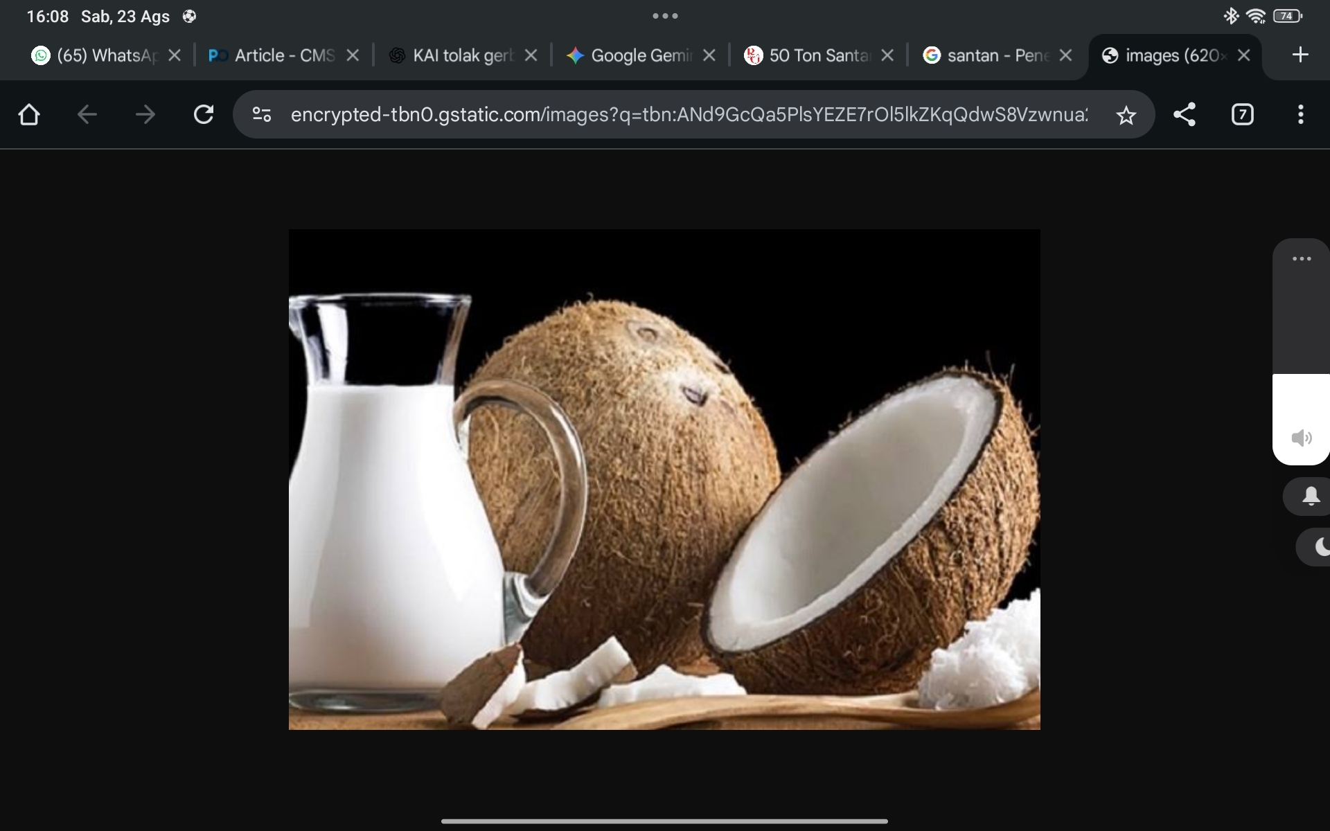 Santan Beku Jadi Primadona Ekspor Sumsel, 50 Ton Dikirim ke China