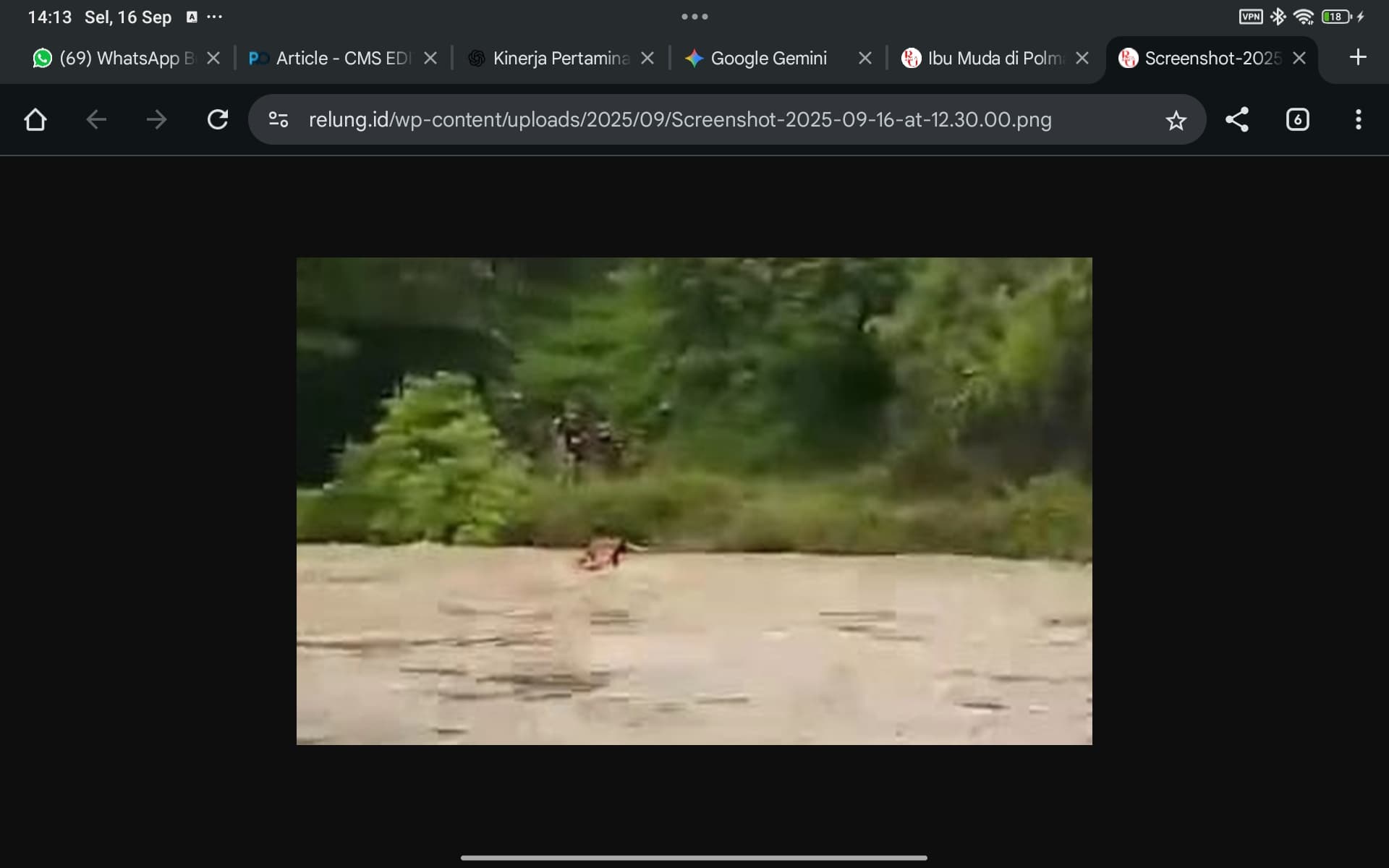 Aksi Nekat Ibu Muda di Sulbar Terobos Arus Sungai Demi Anaknya yang Masih Bayi