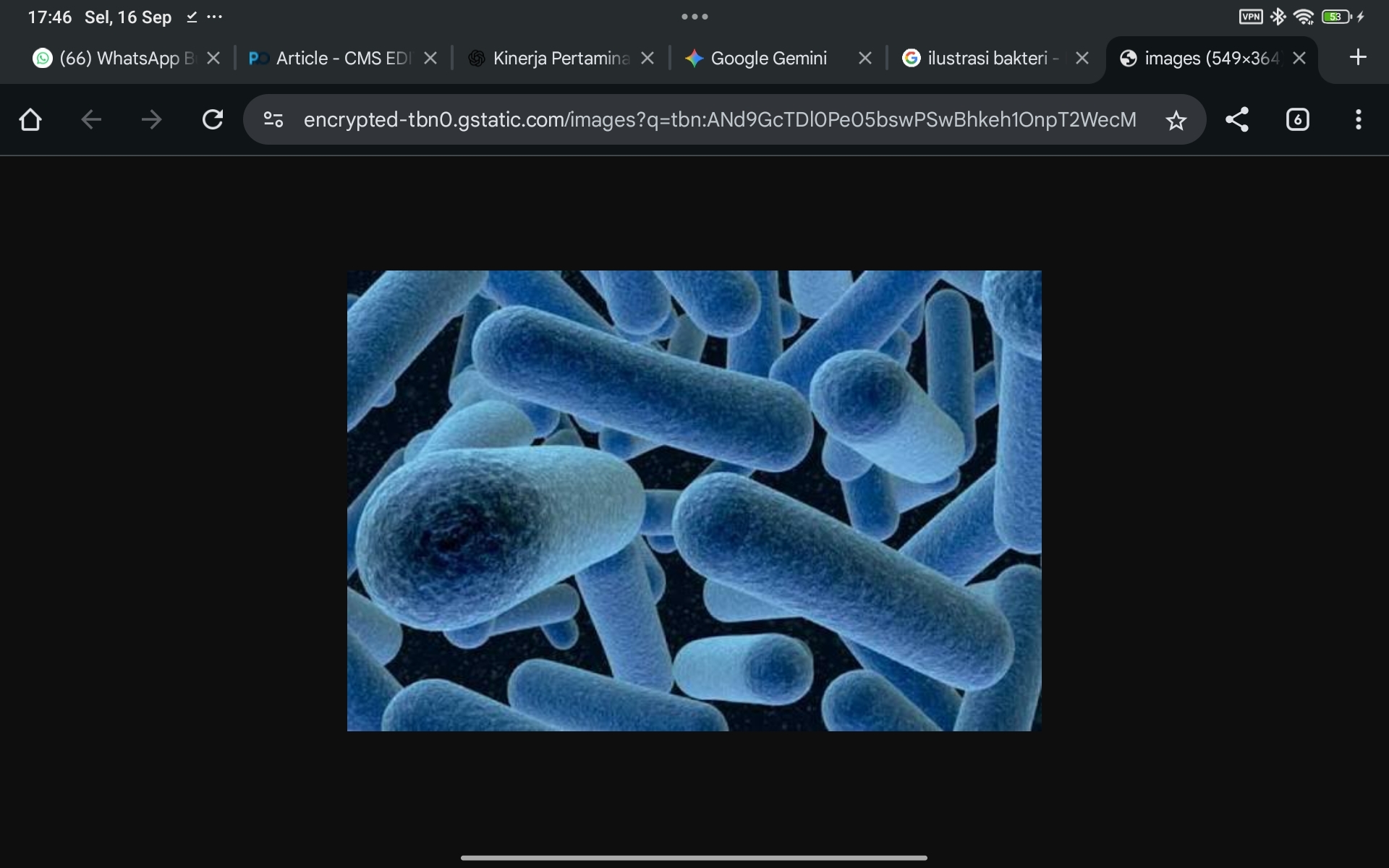 Dua Menu MBG di OKI Terkontaminasi E Coli, Dinkes Sumsel Pastikan Sumber dari Proses Dapur