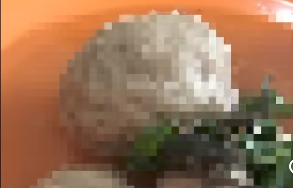 Viral! Remaja Palembang Kaget Temukan Seekor Kodok di Dalam Bungkus Bakso yang Dipesan Online