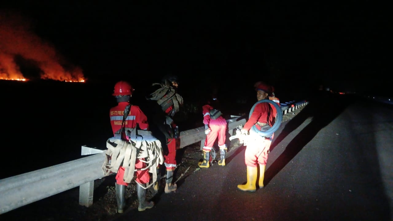 Manggala Agni Padamkan Karhutla di Sekitar Tol Palembang–Kayu Agung