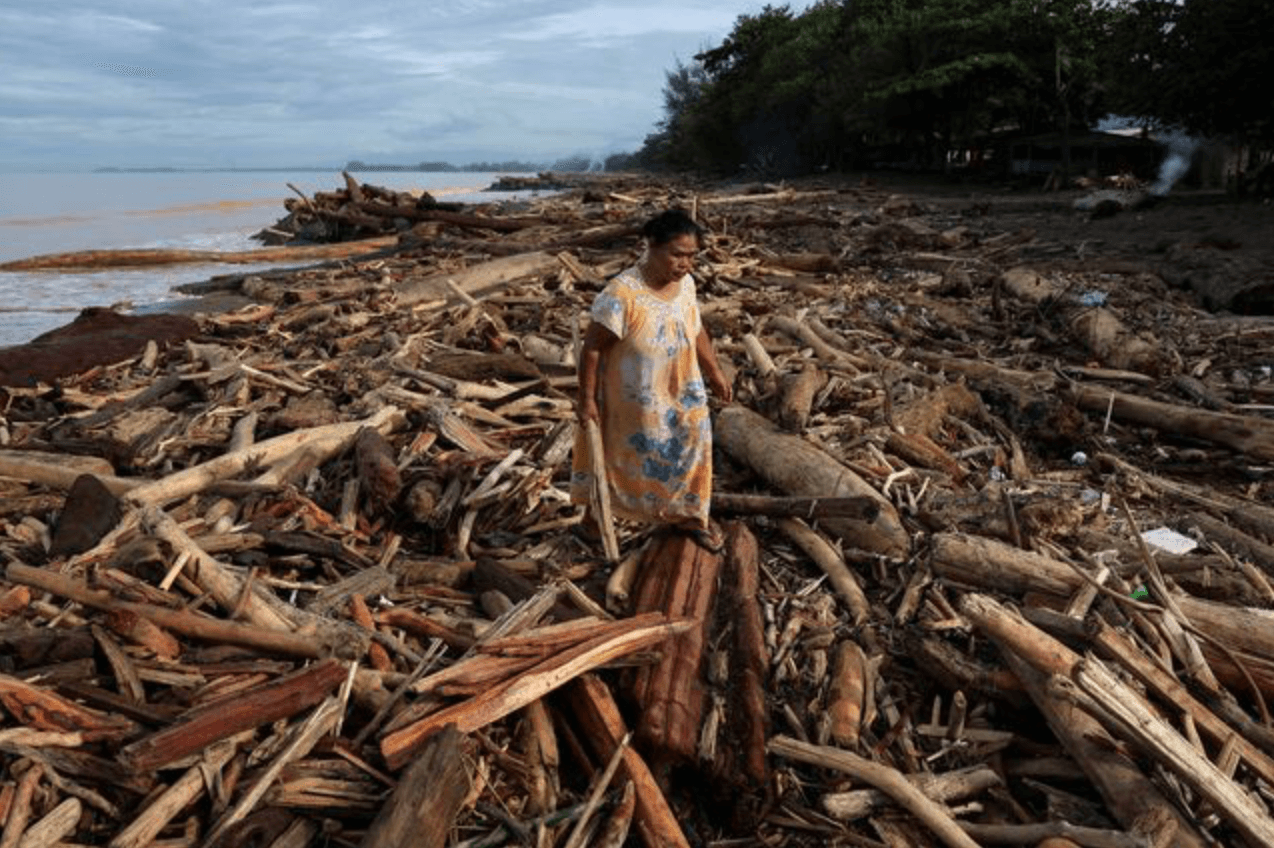 Fenomena Kayu Gelondongan Pascabanjir Sumatera Picu Dugaan Pembalakan Liar, Menhut Soroti Evaluasi Total Tata Kelola Hutan