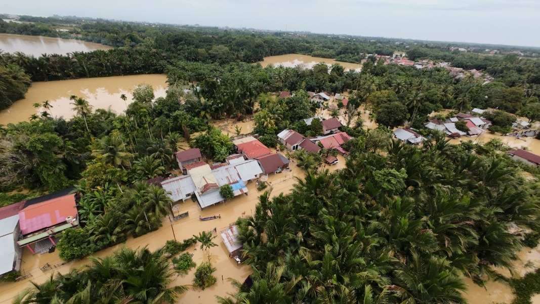 Daftar 7 Perusahaan Diduga Jadi Penyebab Kerusakan Hutan Batang Toru hingga Banjir Sumatera