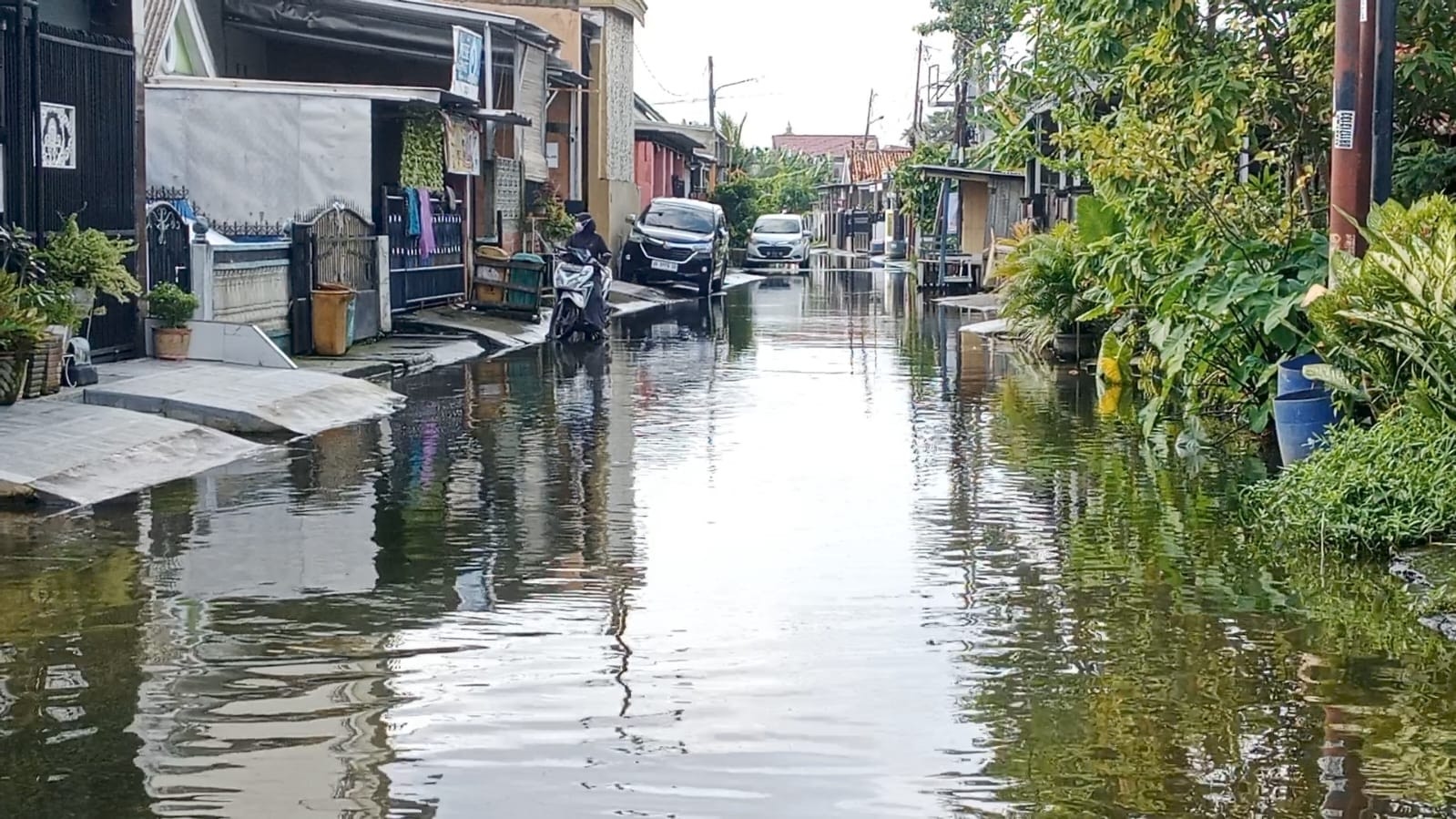 Anak-anak Terancam Penyakit Kulit, Genangan Air Tak Surut di Lorong Paras Jaya I