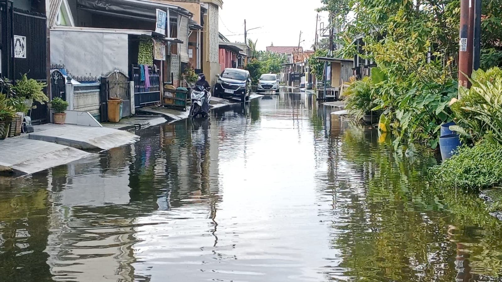 Anak-anak Terancam Penyakit Kulit, Genangan Air Tak Surut di Lorong Paras Jaya I