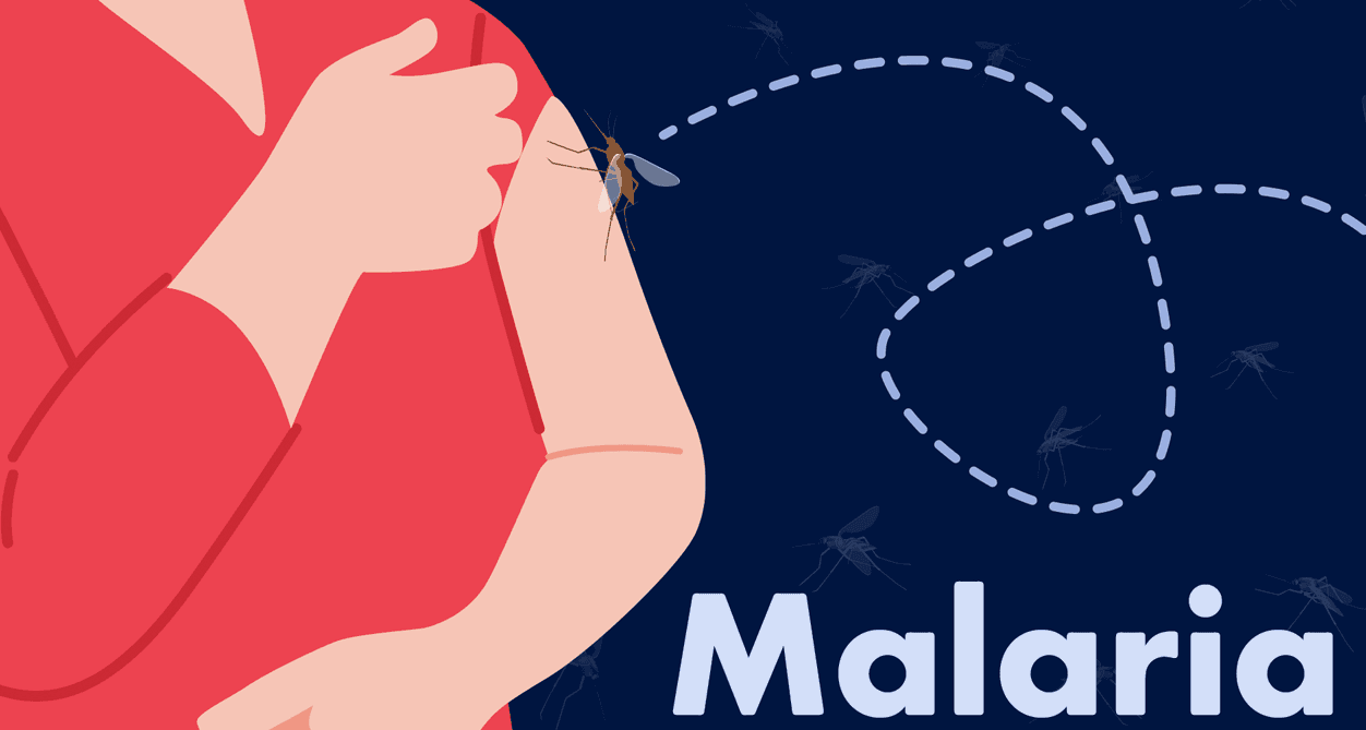 Malaria Jadi Penyakit dengan Kasus Terendah Sepanjang 2024 di Sumsel